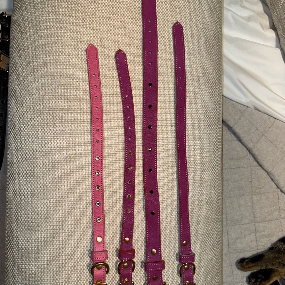 Pink Leather Belt Set